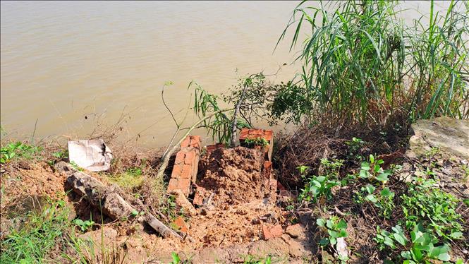 Sạt lở bờ kè sông Thạch Hãn qua khu phố Lập Thạch, phường Nam Đông Hà, tỉnh Quảng Trị. Ảnh: Tường Vi - TTXVN