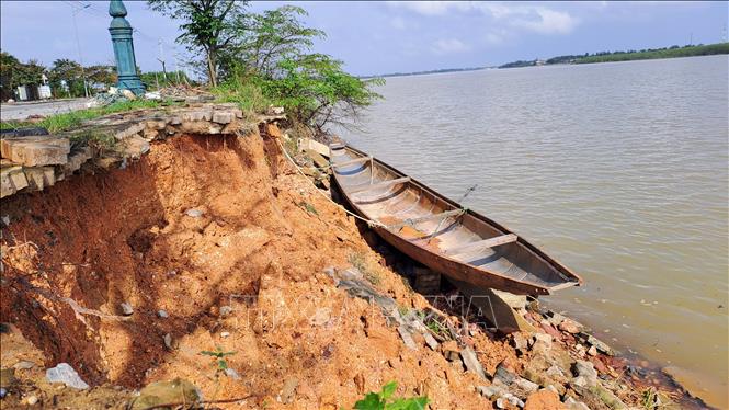 Nhiều đoạn trên bờ sông bị sạt lở vào sâu tạo hàm ếch hoặc phương thẳng đứng khoảng 3m. Ảnh: Tường Vi - TTXVN