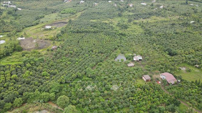 Khu vực dự kiến trở thành lòng hồ Đắk Gang. Ảnh: Hưng Thịnh – TTXVN