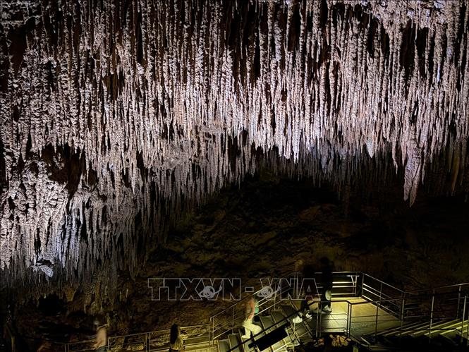 Sự kỳ vĩ của nhũ đá trong động sau hàng vạn năm tích tụ. Ảnh: Xuân Giao – PV TTXVN tại Nhật Bản