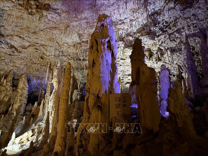 Những măng đá, nhũ đá mọc lên san sát như rừng cột đá khổng lồ. Ảnh: Xuân Giao – PV TTXVN tại Nhật Bản