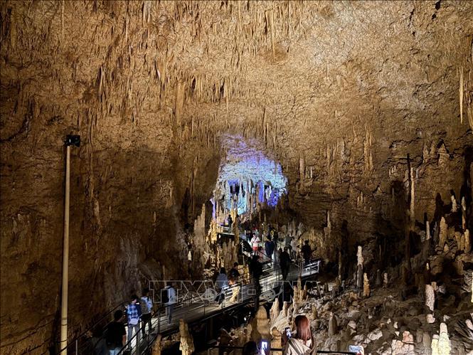 Khu vực mở cửa cho khách tham quan dài khoảng 850m được bố trí hệ thống cầu thang gỗ để du khách tiếp cận những điểm đẹp nhất mà vẫn bảo tồn được cấu trúc tự nhiên. Ảnh: Xuân Giao – PV TTXVN tại Nhật Bản