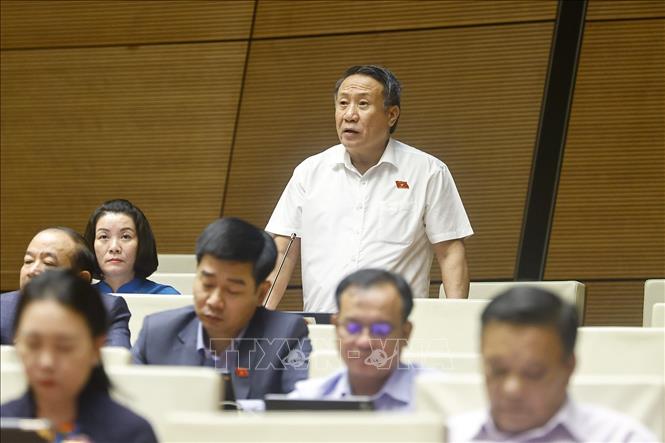 Đại biểu Quốc hội tỉnh Quảng Trị Hà Sỹ Đồng phát biểu. Ảnh: Doãn Tấn - TTXVN