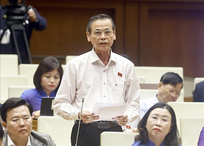 Đại biểu Quốc hội tỉnh Tây Ninh Trần Hữu Hậu phát biểu. Ảnh: Doãn Tấn - TTXVN