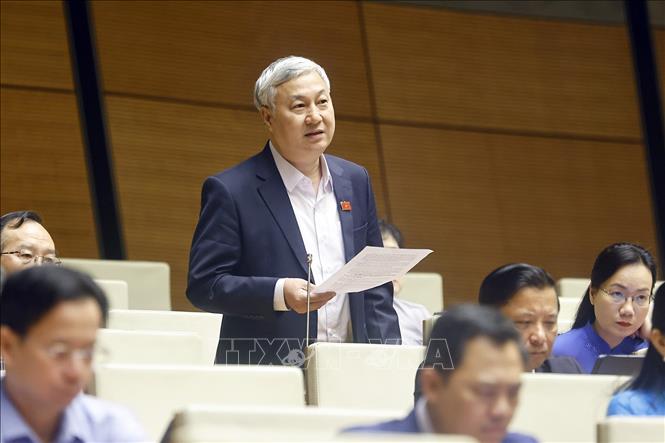 Đại biểu Quốc hội tỉnh Bắc Ninh Trần Văn Lâm phát biểu. Ảnh: Doãn Tấn - TTXVN