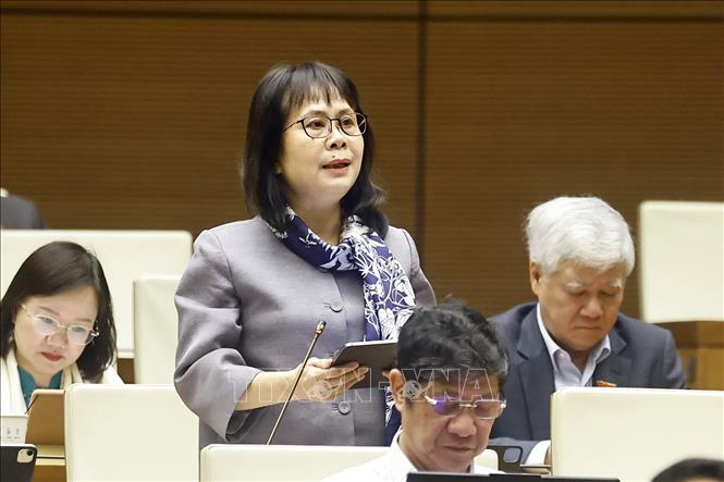 Đại biểu Quốc hội tỉnh Nghệ An Nguyễn Vân Chi phát biểu. Ảnh: Doãn Tấn - TTXVN