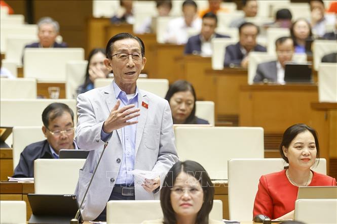 Đại biểu Quốc hội TP Hồ Chí Minh Trần Hoàng Ngân phát biểu. Ảnh: Doãn Tấn - TTXVN