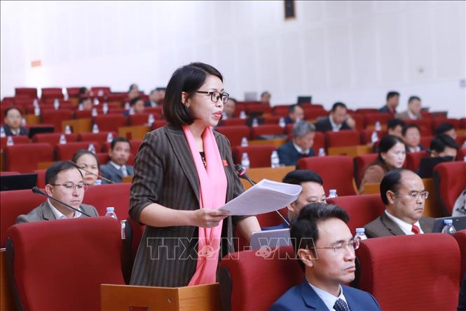 Đại biểu Trang Phương Thảo phát biểu chất vất tại kỳ họp. Ảnh: Quý Trung – TTXVN