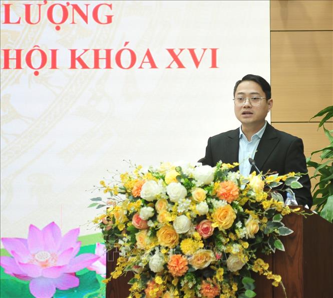 Đồng chí Nguyễn Ngọc Linh, Phó Chủ tịch Ủy ban MTTQ Việt Nam tỉnh phát biểu tại hội nghị. Ảnh: Tuấn Khôi - TTXVN