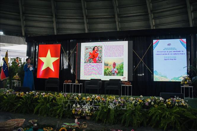 Vietnamese Director Nguyen Bong Mai speaks at the event. VNA Photo/Photo by courtesy