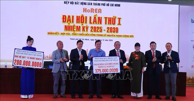 Hiệp hội Bất động sản TP. Hồ Chí Minh ủng hộ đồng bào miền Trung bị bão lũ, ngập lụt. Ảnh: Huyền Trang - TTXVN