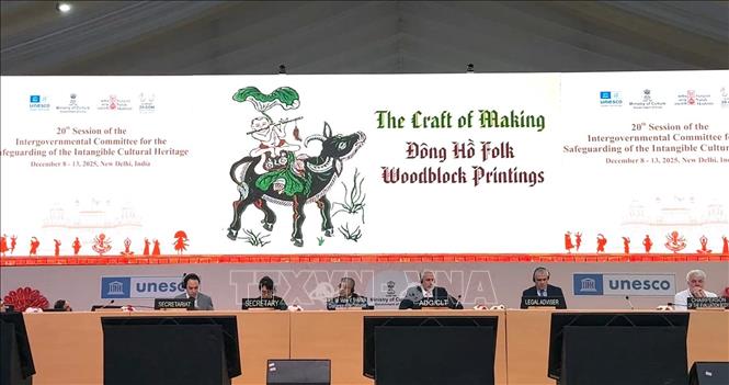 Không gian tranh dân gian Đông Hồ được trình chiếu tại Kỳ họp lần thứ 20 của Ủy ban Liên chính phủ Công ước 2003 về bảo vệ di sản văn hóa phi vật thể của UNESCO. Ảnh: Ngọc Thúy - P/v TTXVN tại New Delhi