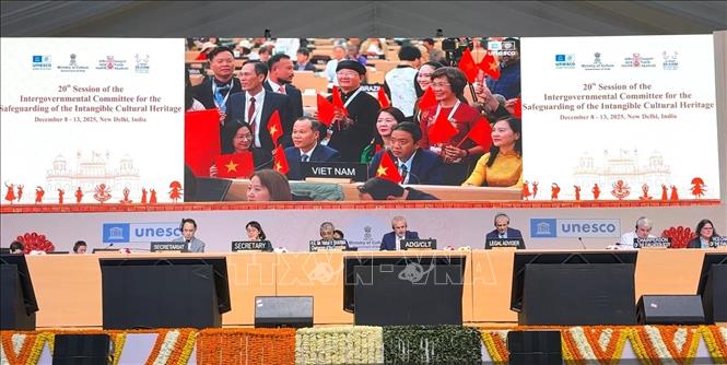 Thứ trưởng Bộ Văn hóa, Thể thao và Du lịch, Phó Chủ tịch Ủy ban Quốc gia UNESCO Việt Nam Hoàng Đạo Cương phát biểu tại Kỳ họp lần thứ 20 Ủy ban Liên chính phủ Công ước 2003 về bảo vệ di sản văn hóa phi vật thể của UNESCO. Ảnh: Ngọc Thúy - P/v TTXVN tại New Delhi