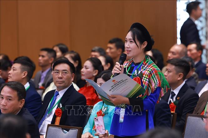 Bà Vương Thị Thương, nông dân tỉnh Lạng Sơn phát biểu ý kiến. Ảnh: Dương Giang-TTXVN 
