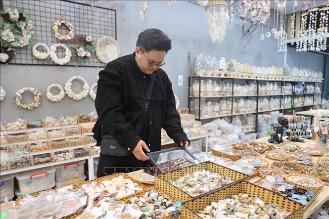 A visitor shops for shell art pieces in Vung Tau Ward, Ho Chi Minh city. VNA Photo: Hoàng Nhị 