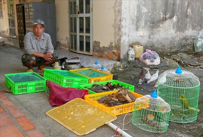 Số động vật hoang dã được Công an xã Tân Hòa, thành phố Cần Thơ, vận động người dân bàn giao để thả về tự nhiên. Ảnh: TTXVN phát