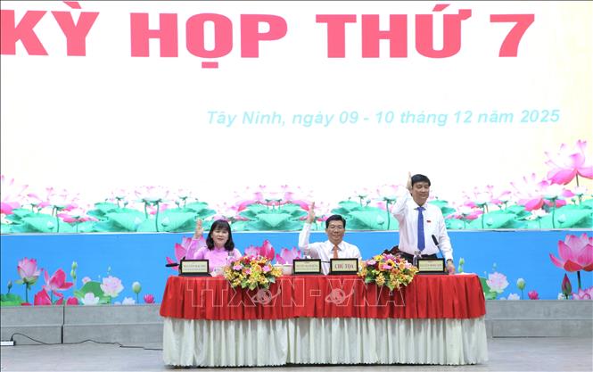 Đại biểu nhất trí thông qua các Nghị quyết. Ảnh: Thanh Tân-TTXVN
