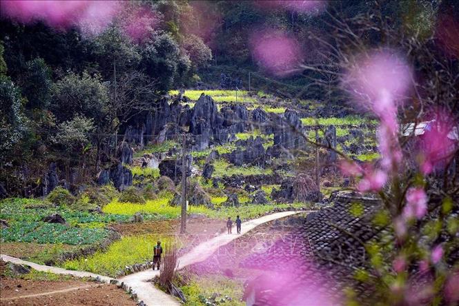 Vẻ đẹp của vùng Cao nguyên đá Đồng Văn. Ảnh: Khánh Hoà - TTXVN 