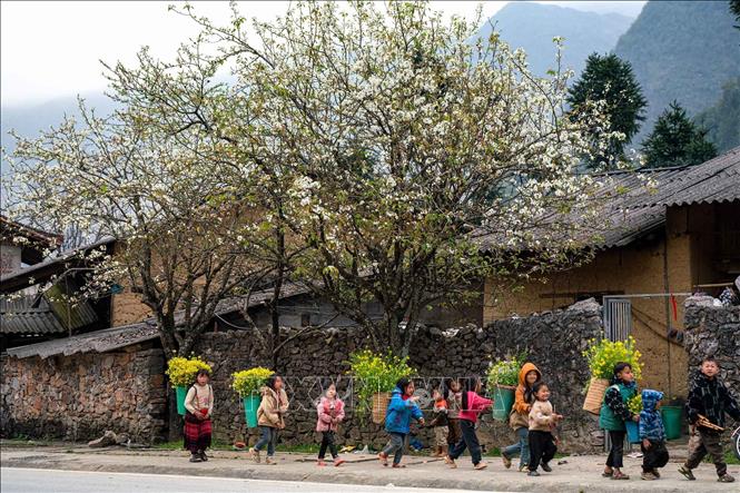 Nét đẹp của con người kết hợp cảnh sắc nơi đây cũng là một điểm thu hút du khách. Ảnh: Khánh Hoà - TTXVN 