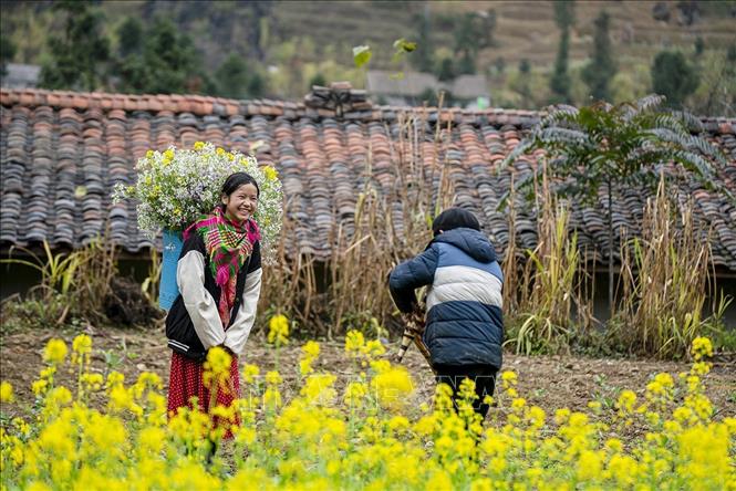 Nét đẹp của con người kết hợp cảnh sắc nơi đây cũng là một điểm thu hút du khách. Ảnh: Khánh Hoà - TTXVN 