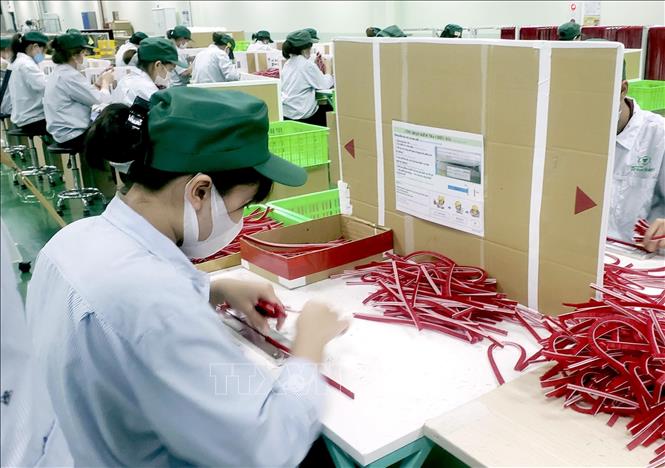 Công nhân sản xuất vật liệu phụ trợ công nghiệp tại Công ty TNHH Tsuchiya Tsco, Khu công nghiệp Thăng Long, Phú Thọ. Ảnh: Hoàng Hùng - TTXVN