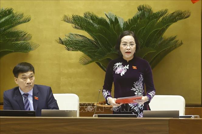 Vice Chairwoman of the National Assembly Nguyen Thi Thanh speaks at the discussion. VNA Photo: Doãn Tấn