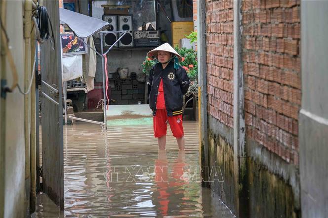 Những hộ đang sống trong con hẻm trên đường Bùi Hữu Nghĩa, gần chợ Bình Thủy (phường Bình Thủy) sẽ được thu hồi đất để thi công cầu Bình Thủy thuộc dự án mở rộng Quốc lộ 91. Ảnh: Thanh Liêm - TTXVN