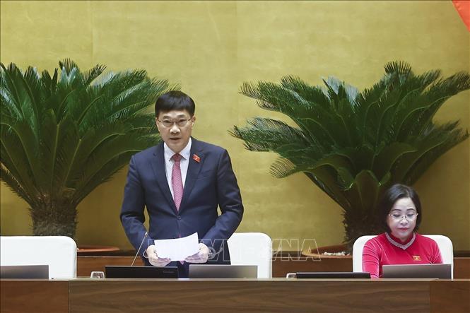 NA Vice Chairman Vu Hong Thanh speaks at the session. VNA Photo: Doãn Tấn 