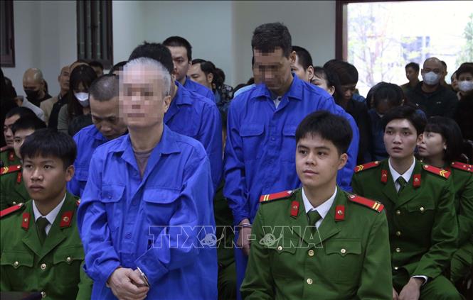 Bị cáo Bùi Quốc Tuấn tại phiên tòa. Ảnh: Thu Hoài - TTXVN