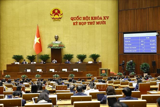 Quốc hội biểu quyết thông qua Nghị quyết của Quốc hội sửa đổi, bổ sung một số điều Nghị quyết số 136/2024/QH15 về tổ chức chính quyền đô thị và thí điểm một số cơ chế, chính sách đặc thù phát triển thành phố Đà Nẵng. Ảnh: Doãn Tấn - TTXVN
