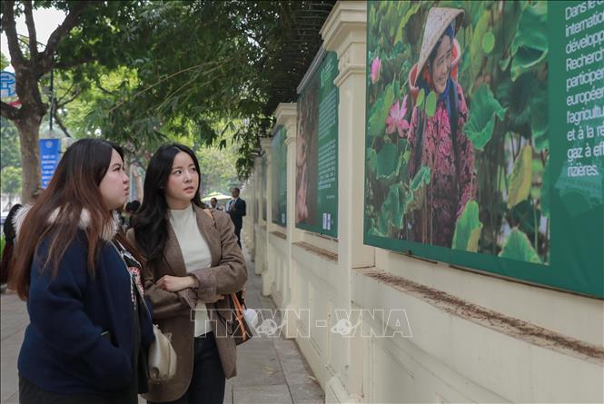 Hoạt động trưng bày ảnh tái hiện 10 năm Hiệp định Paris và sự đồng hành của Pháp với Việt Nam ứng phó khí hậu thu hút đông đảo du khách. Ảnh: Phan Phương - TTXVN