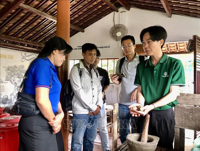 Doanh nghiệp và sinh viên tham quan Hợp tác xã Nông nghiệp bền vững Lạc Địa. Ảnh: Mỹ Phương - TTXVN 