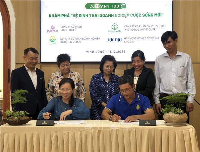 Đại diện các doanh nghiệp và hợp tác xã ký kết hợp tác phát triển bền vững. Ảnh: Mỹ Phương - TTXVN