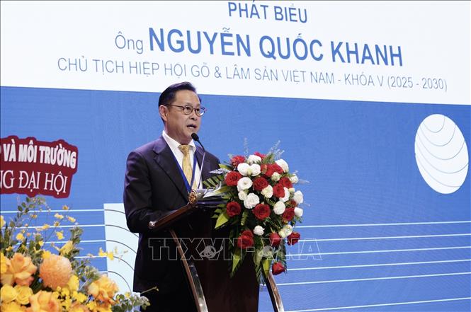Ông Nguyễn Quốc Khanh, Chủ tịch Viforest phát biểu nhận nhiệm vụ. Ảnh: Xuân Anh - TTXVN
