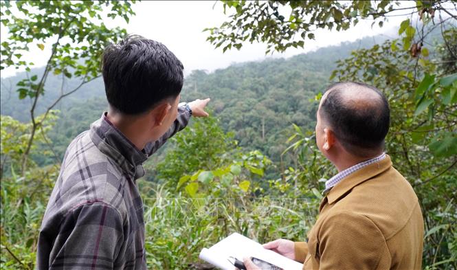 Tổ cộng đồng bảo vệ rừng thôn Làng Ren, xã Minh Long phối hợp với Trạm quản lý, bảo vệ rừng khu vực xã Minh Long tuần tra, bảo vệ diện tích rừng được giao, khoán. Ảnh: Lê Phước Ngọc - TTXVN         