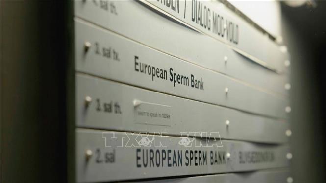 Ngân hàng tinh trùng châu Âu (ESB) tại Đan Mạch phân phối tinh trùng mang đột biến gene TP53 – loại gene liên quan nguy cơ cao mắc nhiều bệnh ung thư. Ảnh: DW/TTXVN