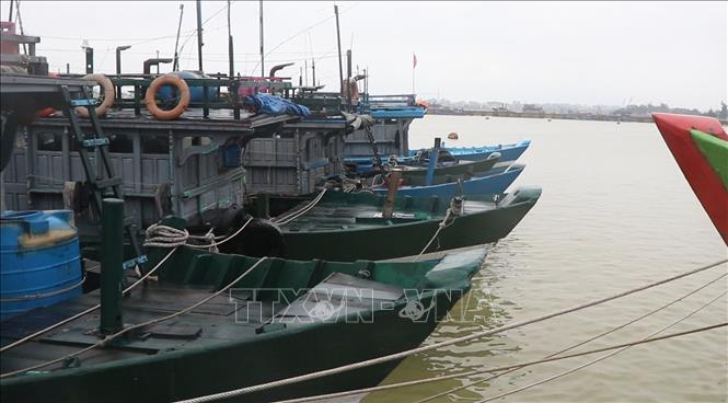 Năm 2025, không ít tàu cá tại Thuận An phải nằm bờ suốt nhiều tháng cuối năm do thời tiết bất lợi và thiếu kinh phí. Ảnh: Văn Dũng-TTXVN