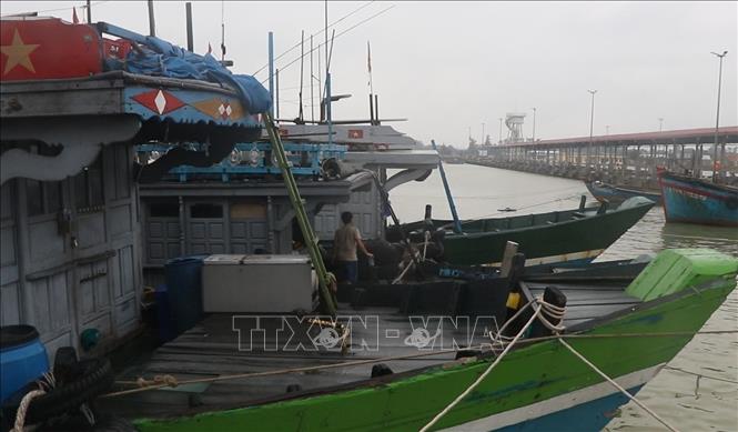 Tình trạng chậm chi trả hỗ trợ nhiên liệu đã kéo dài khoảng 1,5 năm, tác động lớn đến hoạt động sản xuất của ngư dân. Ảnh: Văn Dũng-TTXVN