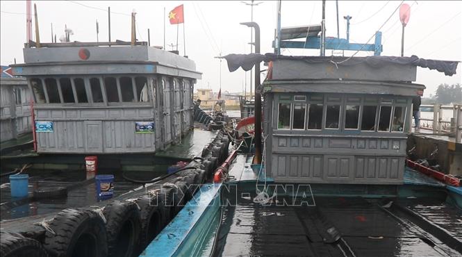 Toàn phường Thuận An có 167 tàu đủ điều kiện đánh bắt xa bờ,. Ảnh: Văn Dũng-TTXVN