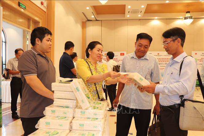 Doanh nghiệp xuất khẩu sang thị trường Nhật Bản giới thiệu gạo ST25 canh tác vùng lúa tôm Cà Mau. Ảnh: Thu Hiền - TTXVN
