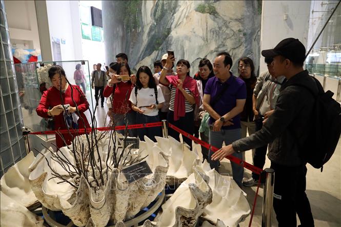 Du khách nước ngoài tham quan Bảo tàng Quảng Ninh. Ảnh: Đức Hiếu - TTXVN