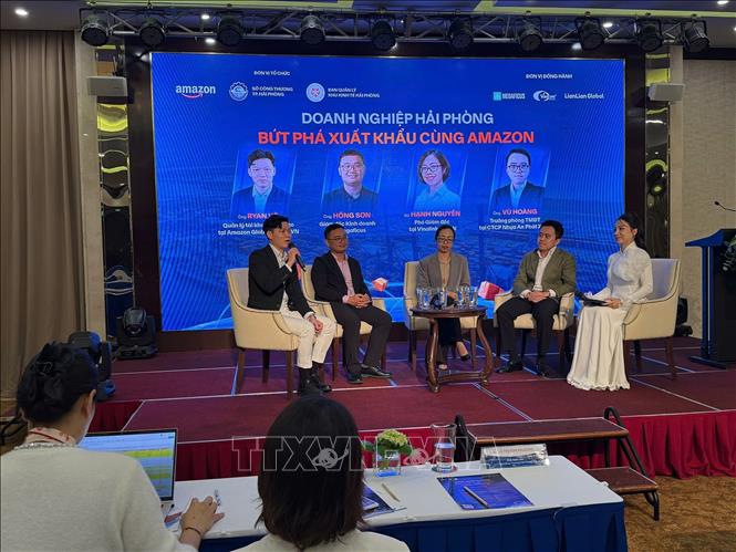 Các chuyên gia tọa đàm cùng các doanh nghiệp tại Hải Phòng. Ảnh Tiến Vĩnh  - TTXVN 