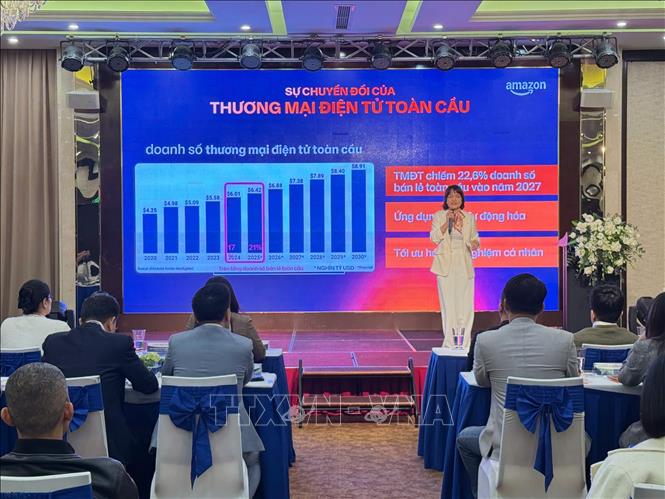 Các chuyên gia chia sẻ kinh nghiệm tại hội thảo. Ảnh Tiến Vĩnh – TTXVN