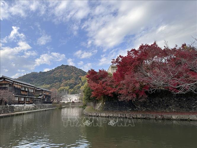 Kênh đào Hachiman-bori nối liền với hồ Biwa, từng bị ô nhiễm nặng trong giai đoạn kỳ tích kinh tế những năm 50 – 60, giờ đã trở nên trong xanh, sạch đẹp. Ảnh: Nguyễn Tuyến – PV TTXVN tại Nhật Bản
