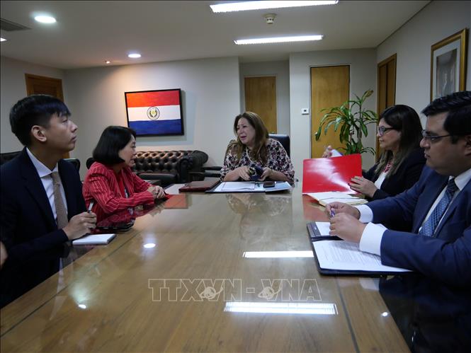 Vietnamese Ambassador to Argentina and Paraguay Ngo Minh Nguyet meets Director-General of Multilateral Policy at the Ministry of Foreign Affairs of Paraguay Nimia Da Silva Boschert during her working visit to Asuncion. VNA Photo: Diệu Hương