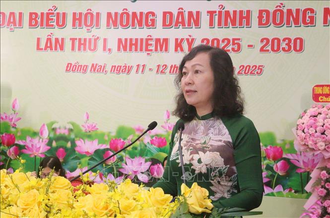 Bà Huỳnh Thị Hằng, Phó Bí thư Tỉnh ủy Đồng Nai phát biểu tại đại hội. Ảnh: Lê Xuân - TTXVN