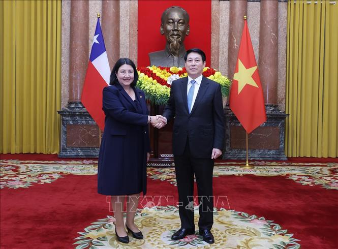 Chủ tịch nước Lương Cường tiếp Đại sứ Cộng hoà Chile tại Việt Nam Nasly Isabel Bernal Prado. Ảnh: Lâm Khánh – TTXVN