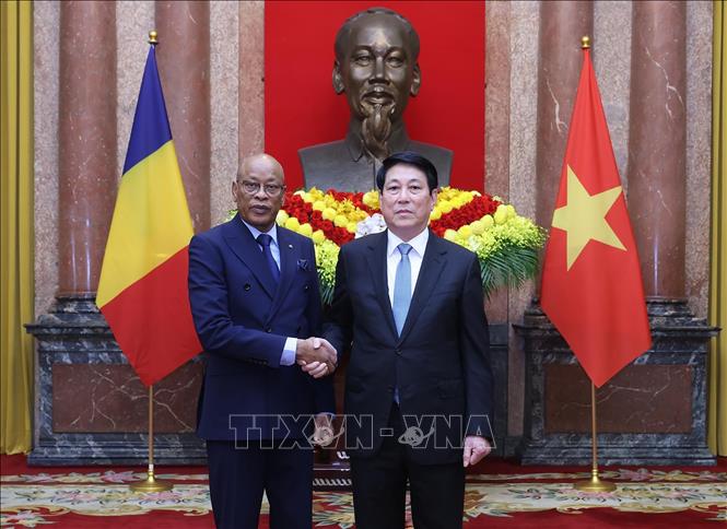 Chủ tịch nước Lương Cường với Đại sứ Cộng hoà Chad tại Việt Nam Abakar Saleh Chahaimi trình Quốc thư. Ảnh: Lâm Khánh - TTXVN