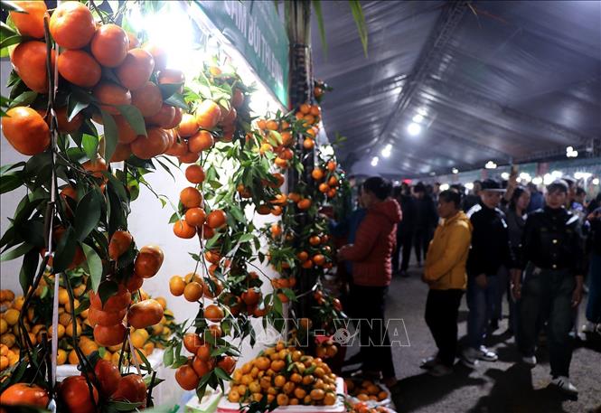 Các gian hàng trưng bày thể hiện chủ đạo sản phẩm trưng bày là cam Cao Phong. Ảnh: Thanh Hải - TTXVN