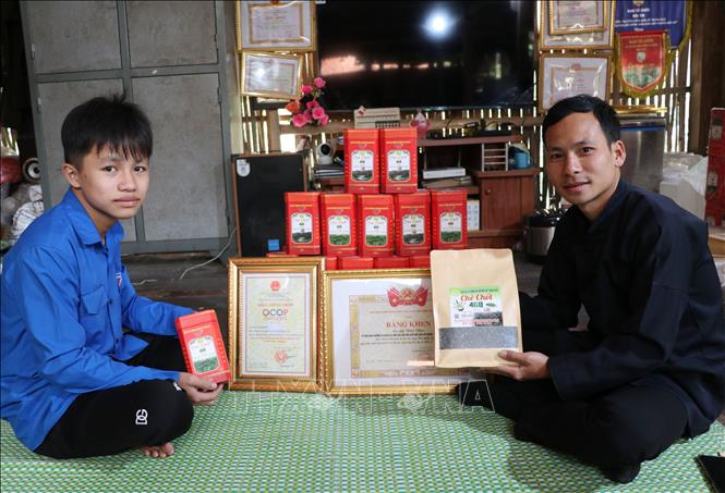 Chàng trai người Tày chia sẻ kinh nghiệm của mình về chè với người dân và đoàn viên thanh niên. Ảnh: Đức Thọ - TTXVN.